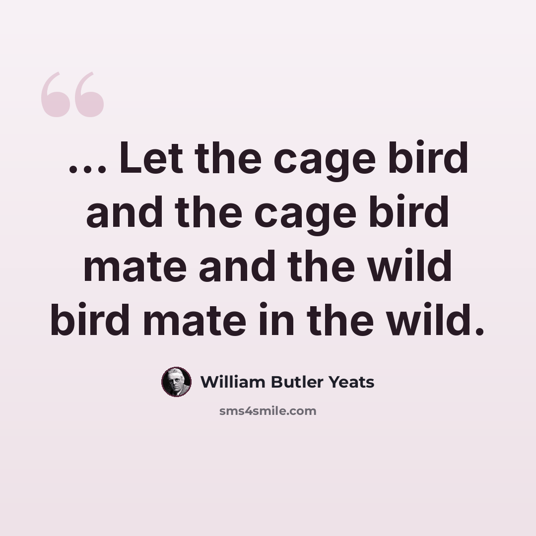 “... Let the cage bird and the cage bird mate and the wild bird mate in the wild.” quote by William Butler Yeats
