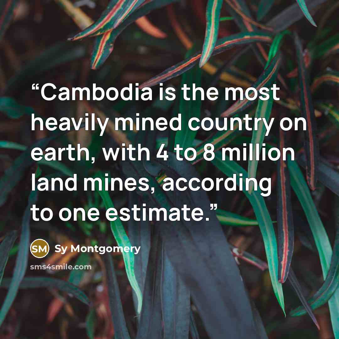 “Cambodia is the most heavily mined country on earth, with 4 to 8 million land mines, according to one estimate.” quote by Sy Montgomery