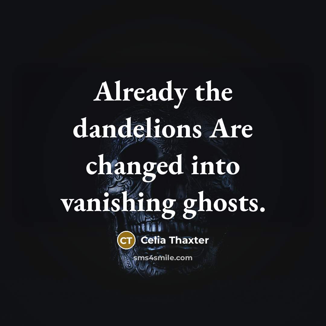 “Already the dandelions Are changed into vanishing ghosts.” quote by Celia Thaxter