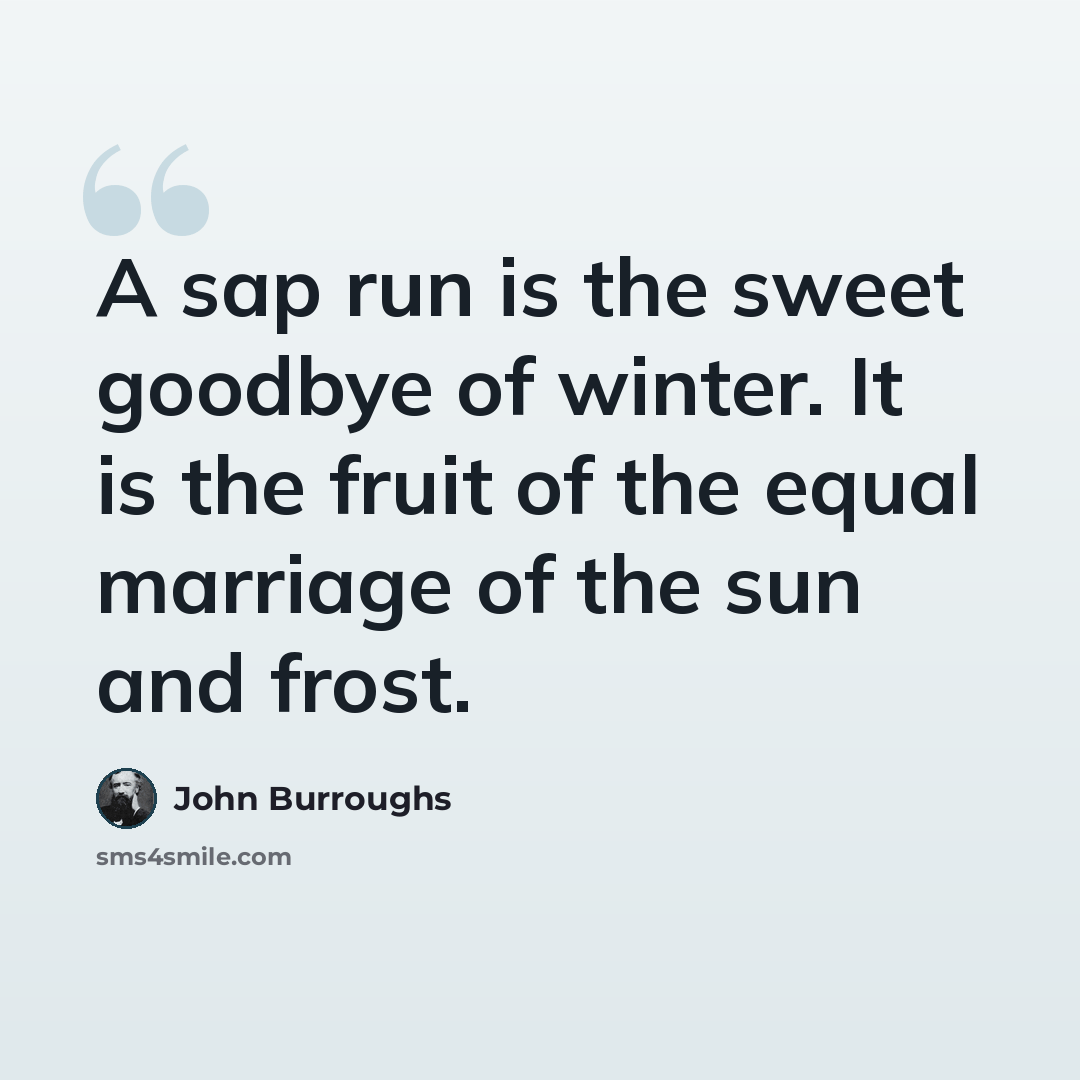 “A sap run is the sweet goodbye of winter. It is the fruit of the equal marriage of the sun and frost.” quote by John Burroughs