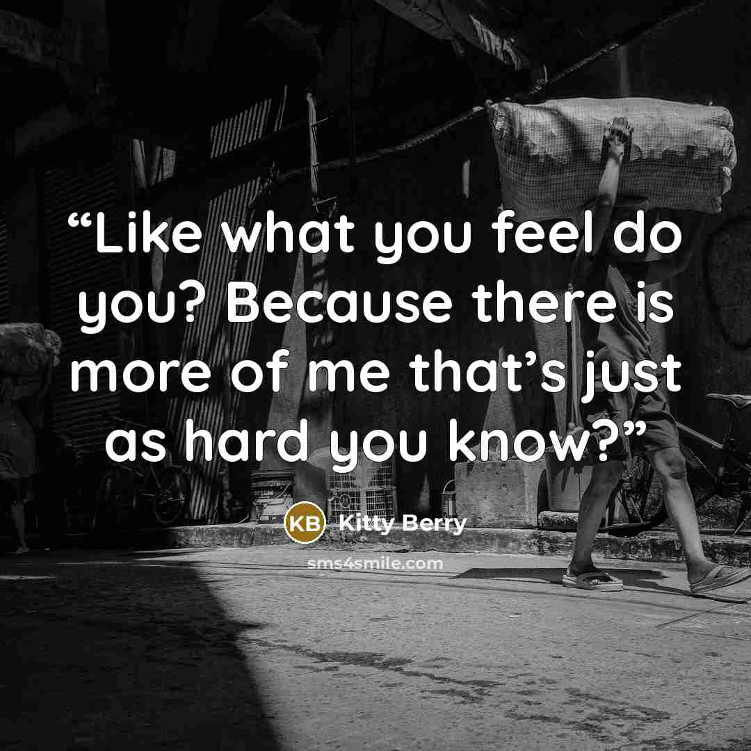 “Like what you feel do you? Because there is more of me that’s just as hard you know?” quote by Kitty Berry