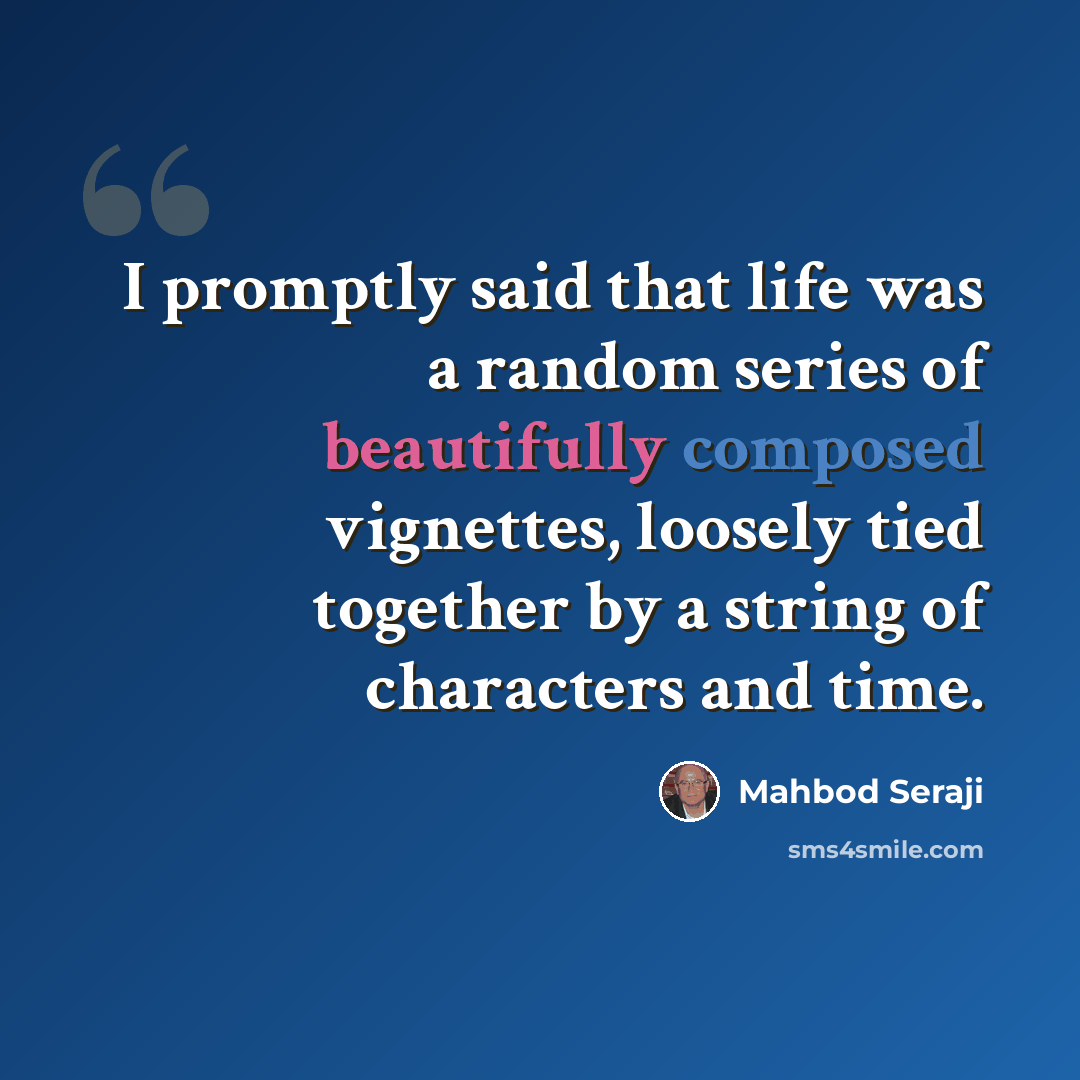 “I promptly said that life was a random series of beautifully composed vignettes, loosely tied together by a string of characters and time.” quote by Mahbod Seraji