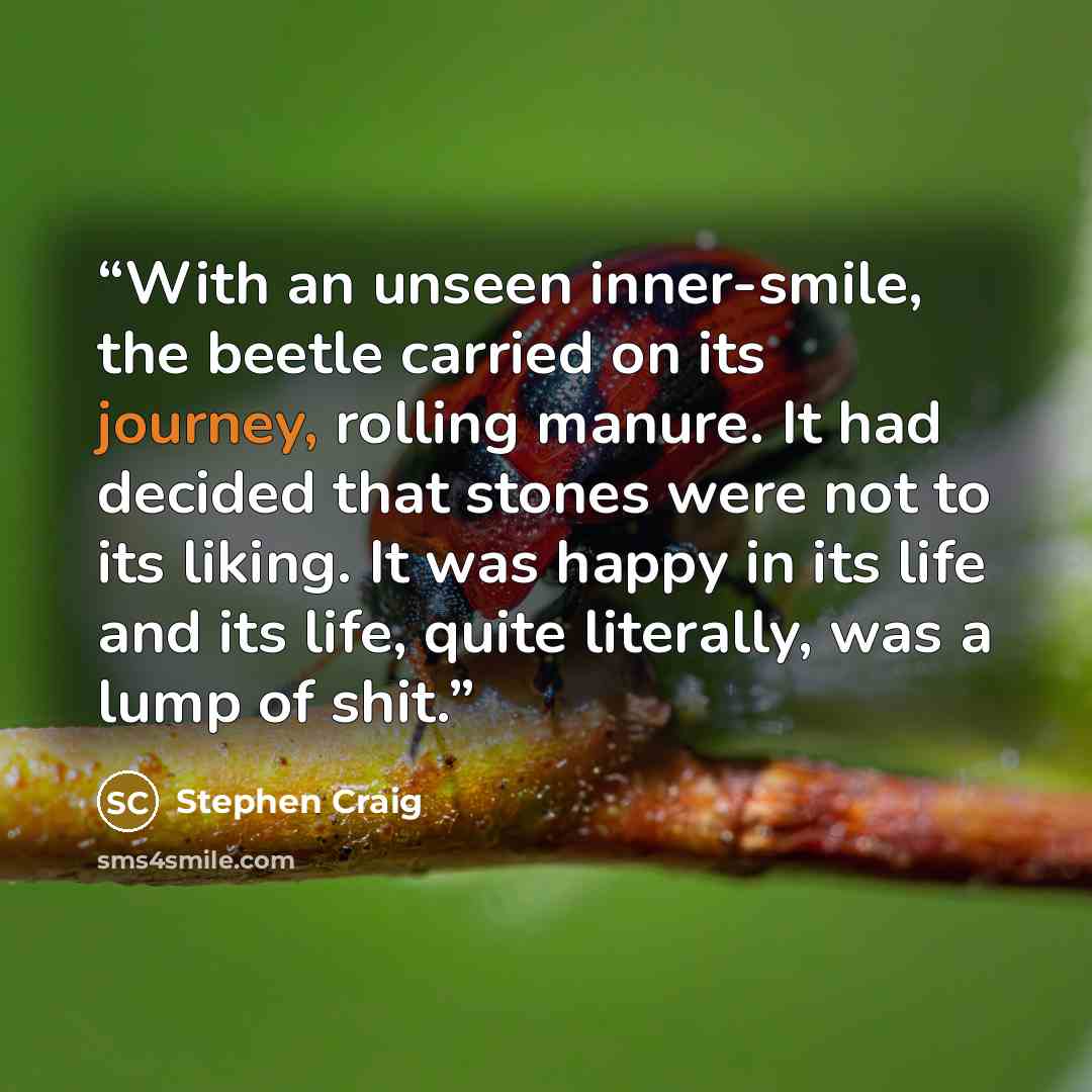 “With an unseen inner-smile, the beetle carried on its journey, rolling manure. It had decided that stones were not to its liking. It was happy in its life and its life, quite literally, was a lump of shit.” quote by Stephen Craig
