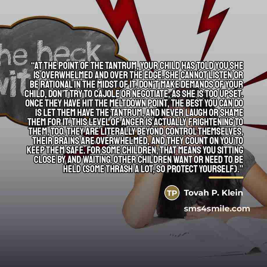 “At the point of the tantrum, your child has told you she is overwhelmed and over the edge. She cannot listen or be rational in the midst of it. Don’t make demands of your child, don’t try to cajole or negotiate, as she is too upset. Once they have hit the meltdown point, the best you can do is let…” quote by Tovah P. Klein