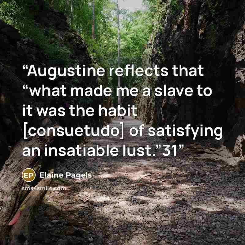 “Augustine reflects that “what made me a slave to it was the habit [consuetudo] of satisfying an insatiable lust.”31” quote by Elaine Pagels