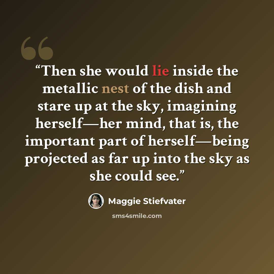 “Then she would lie inside the metallic nest of the dish and stare up at the sky, imagining herself—her mind, that is, the important part of herself—being projected as far up into the sky as she could see.” quote by Maggie Stiefvater