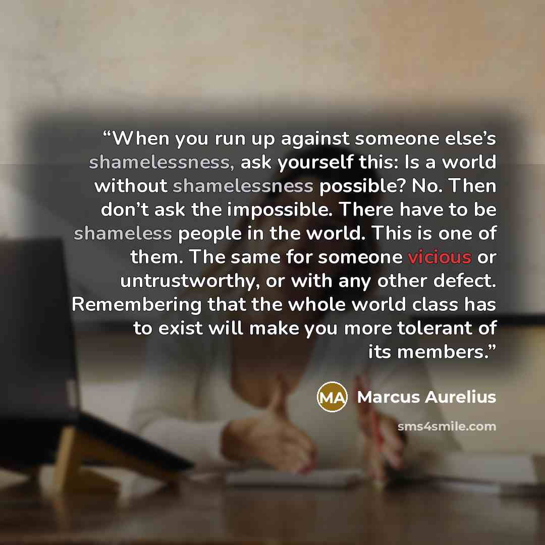 “When you run up against someone else’s shamelessness, ask yourself this: Is a world without shamelessness possible? No. Then don’t ask the impossible. There have to be shameless people in the world. This is one of them. The same for someone vicious or untrustworthy, or with any other defect…” quote by Marcus Aurelius