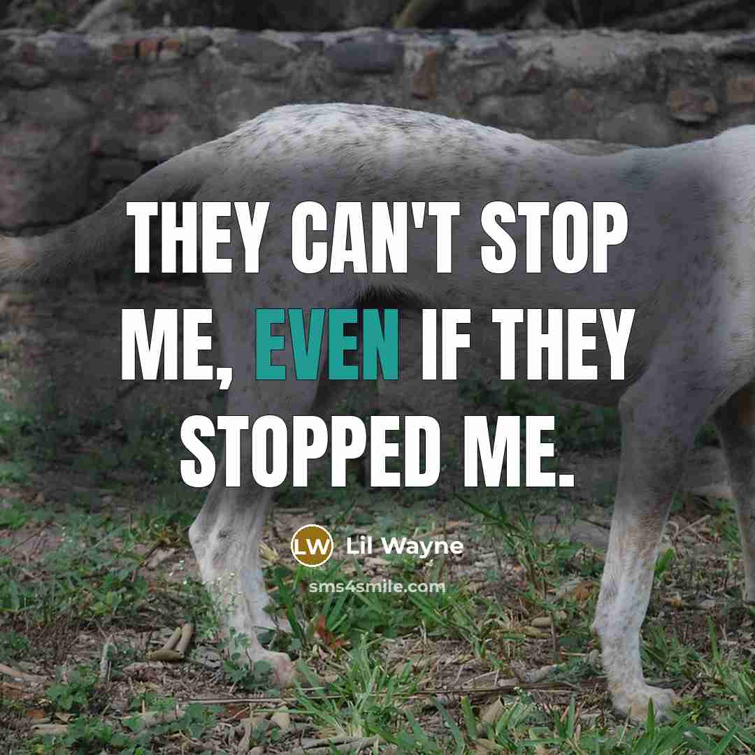 “They can't stop me, even if they stopped me.” quote by Lil Wayne