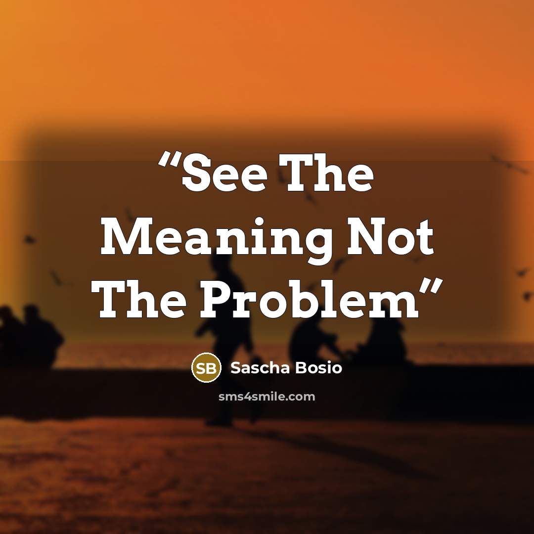 “See The Meaning Not The Problem” quote by Sascha Bosio