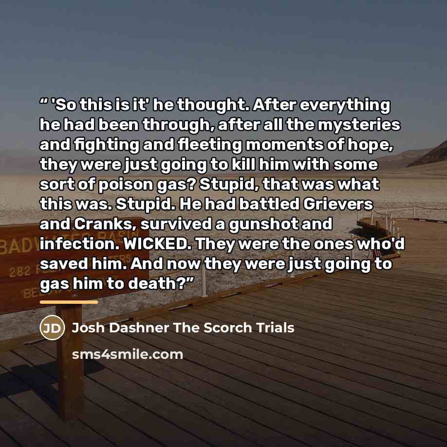 “'So this is it' he thought. After everything he had been through, after all the mysteries and fighting and fleeting moments of hope, they were just going to kill him with some sort of poison gas? Stupid, that was what this was. Stupid. He had battled Grievers and Cranks, survived a gunshot and…” quote by Josh Dashner The Scorch Trials