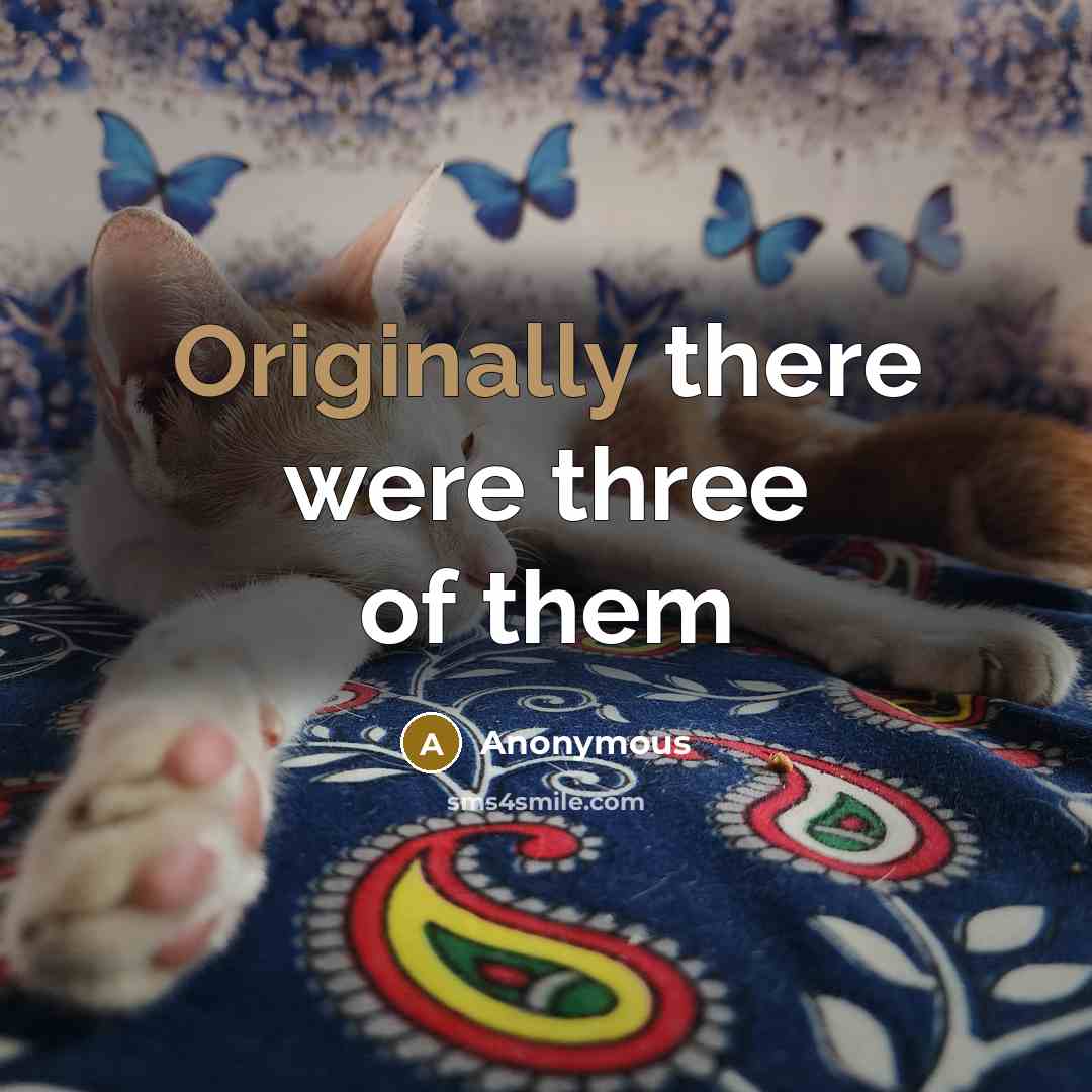 “Originally there were three of them” quote by Anonymous