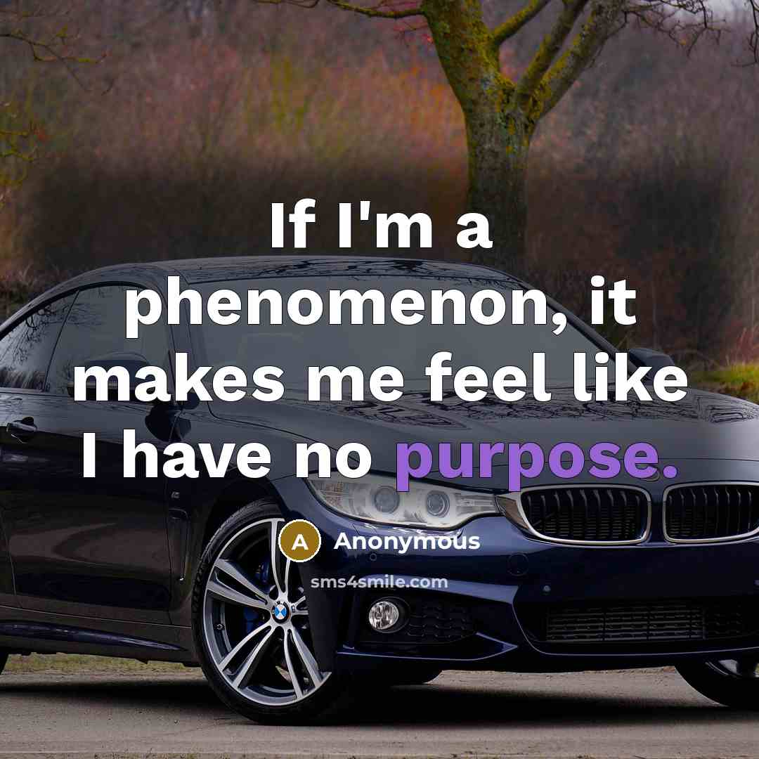 “If I'm a phenomenon, it makes me feel like I have no purpose.” quote by Anonymous