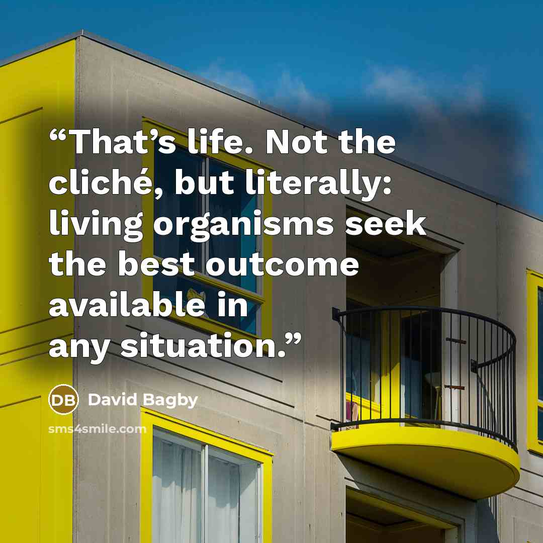 “That’s life. Not the cliché, but literally: living organisms seek the best outcome available in any situation.” quote by David Bagby