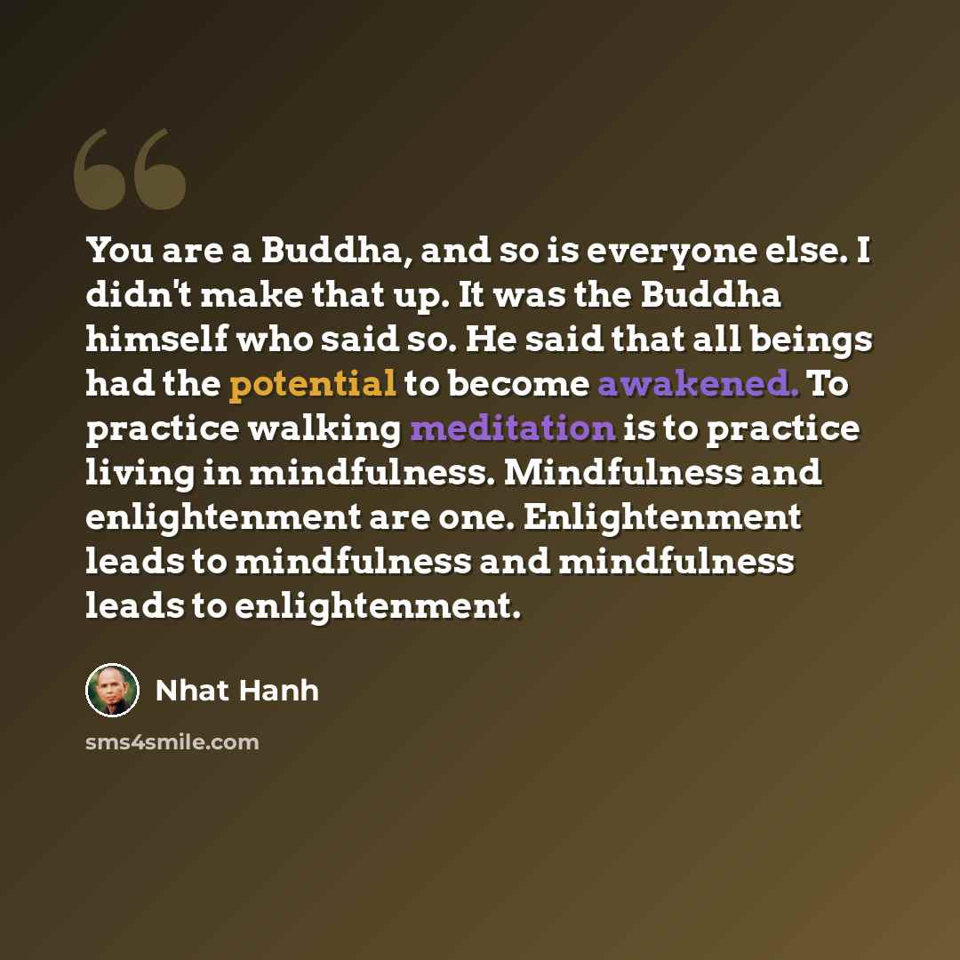 “You are a Buddha, and so is everyone else. I didn't make that up. It was the Buddha himself who said so. He said that all beings had the potential to become awakened. To practice walking meditation is to practice living in mindfulness. Mindfulness and enlightenment are one. Enlightenment leads to…” quote by Nhat Hanh