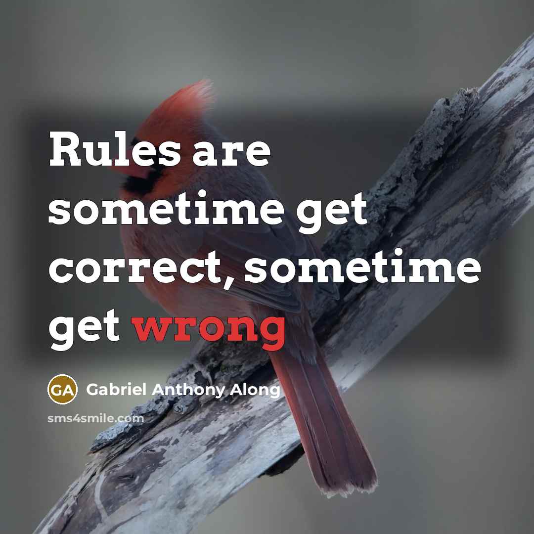 “Rules are sometime get correct, sometime get wrong” quote by Gabriel Anthony Along