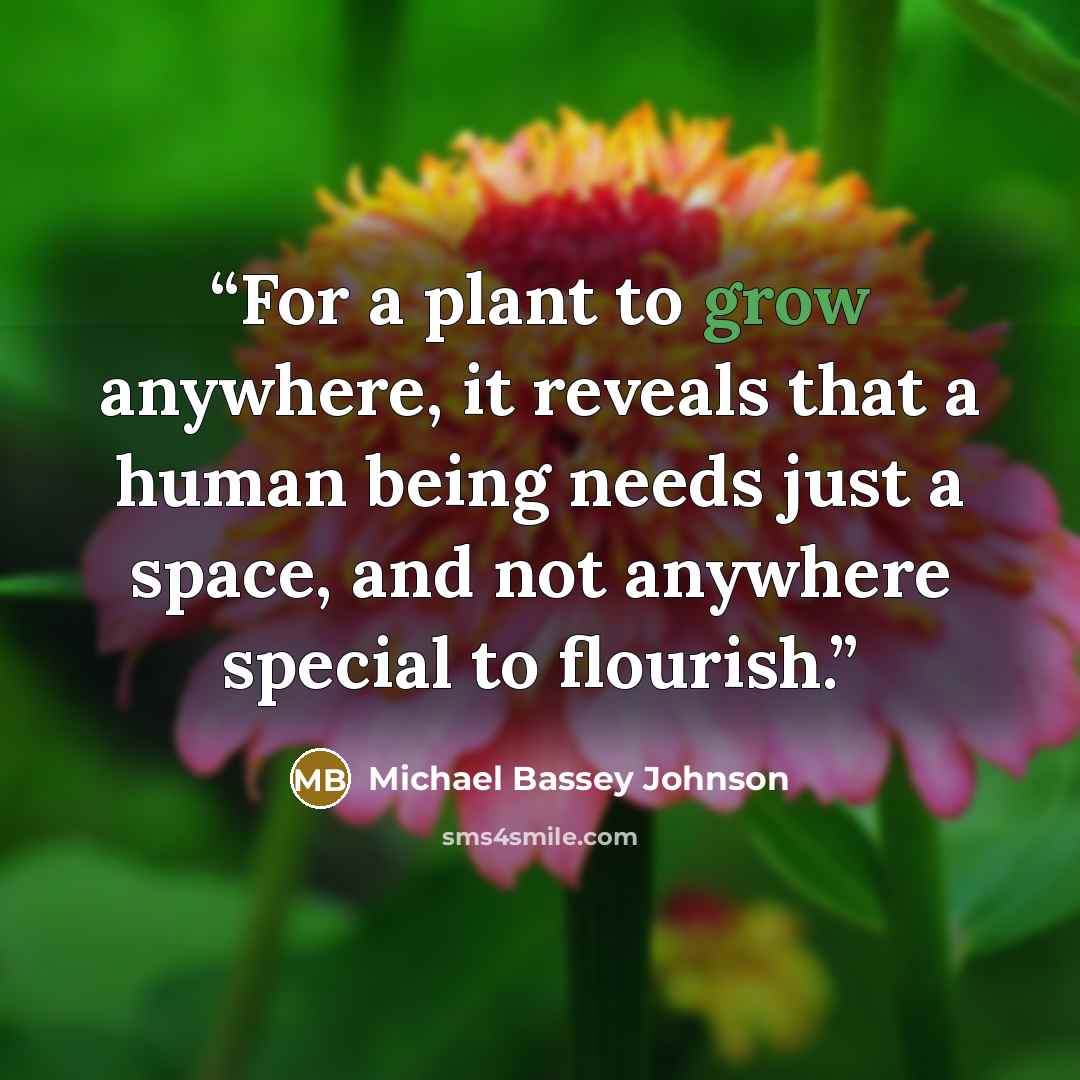 “For a plant to grow anywhere, it reveals that a human being needs just a space, and not anywhere special to flourish.” quote by Michael Bassey Johnson