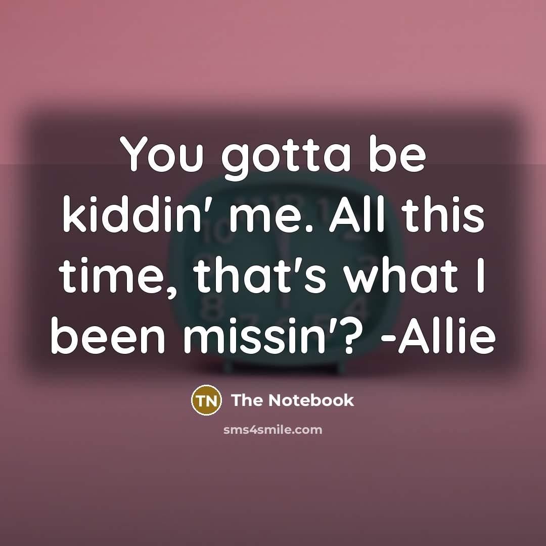 “You gotta be kiddin' me. All this time, that's what I been missin'? -Allie” quote by The Notebook