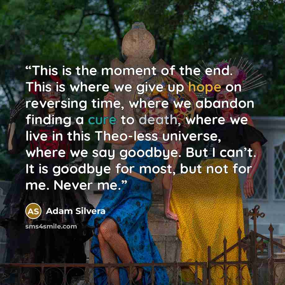 “This is the moment of the end. This is where we give up hope on reversing time, where we abandon finding a cure to death, where we live in this Theo-less universe, where we say goodbye. But I can’t. It is goodbye for most, but not for me. Never me.” quote by Adam Silvera