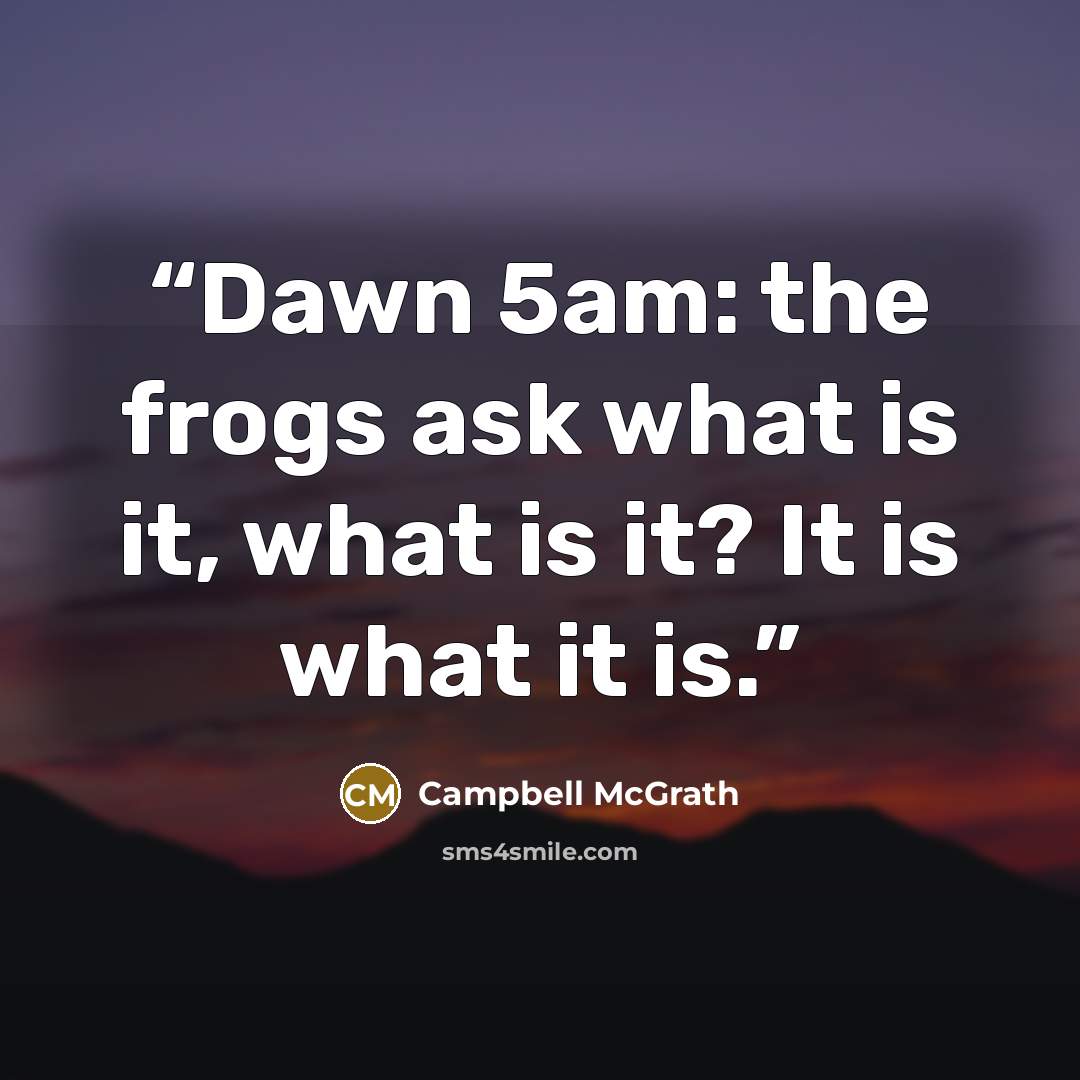 “Dawn 5am: the frogs ask what is it, what is it? It is what it is.” quote by Campbell McGrath
