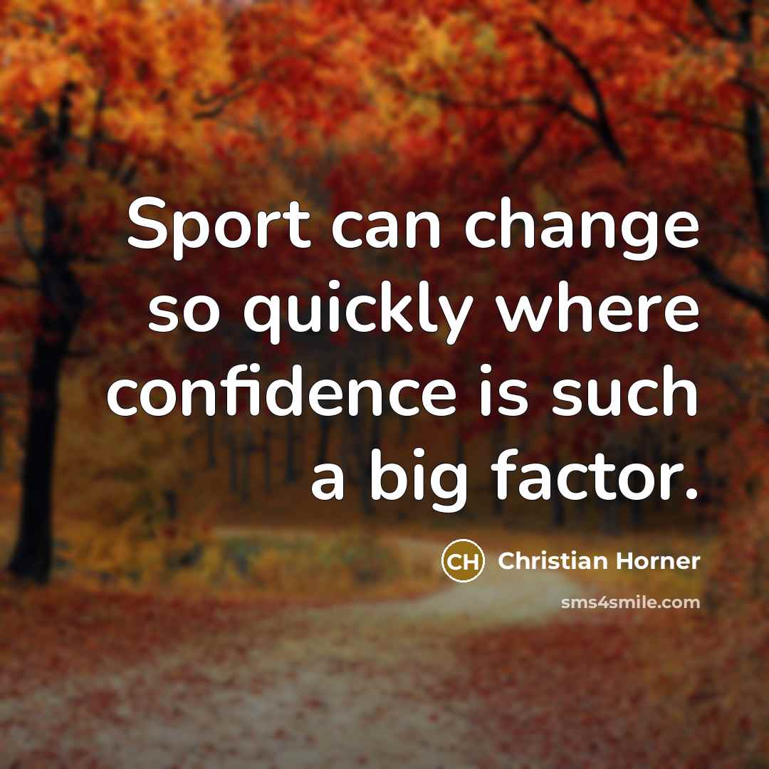 “Sport can change so quickly where confidence is such a big factor.” quote by Christian Horner
