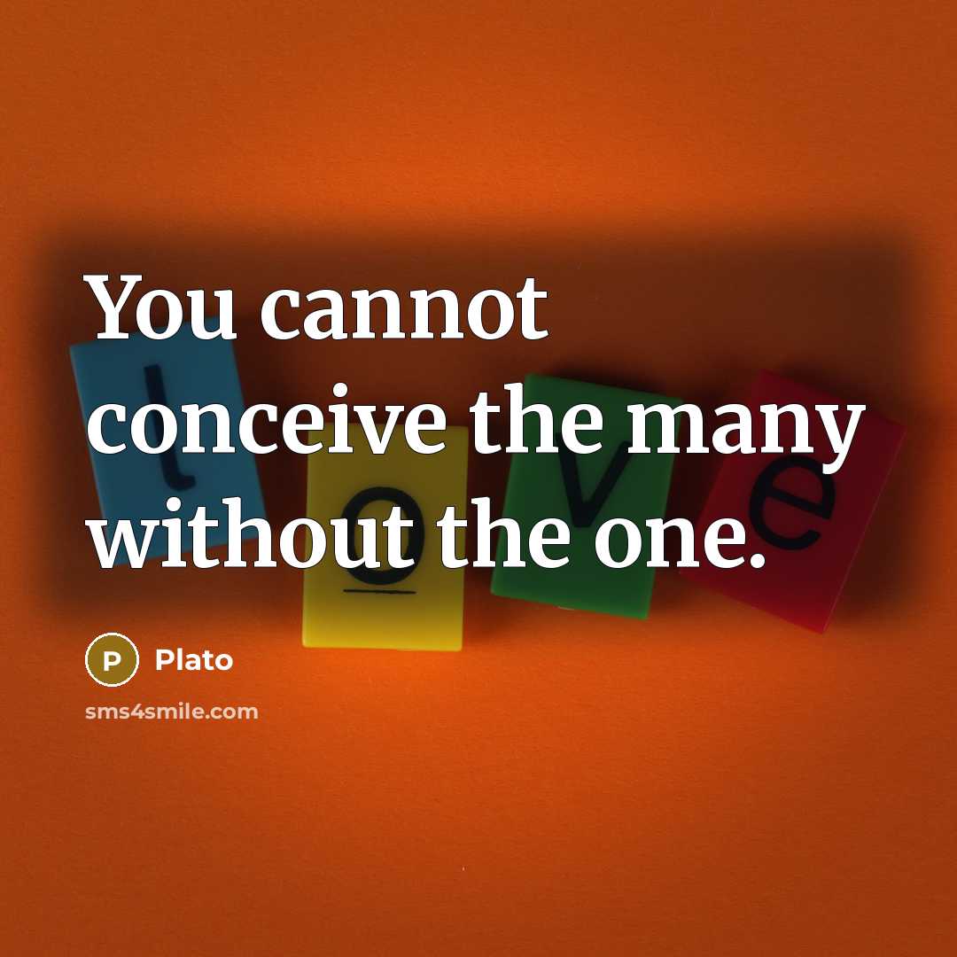 “You cannot conceive the many without the one.” quote by Plato
