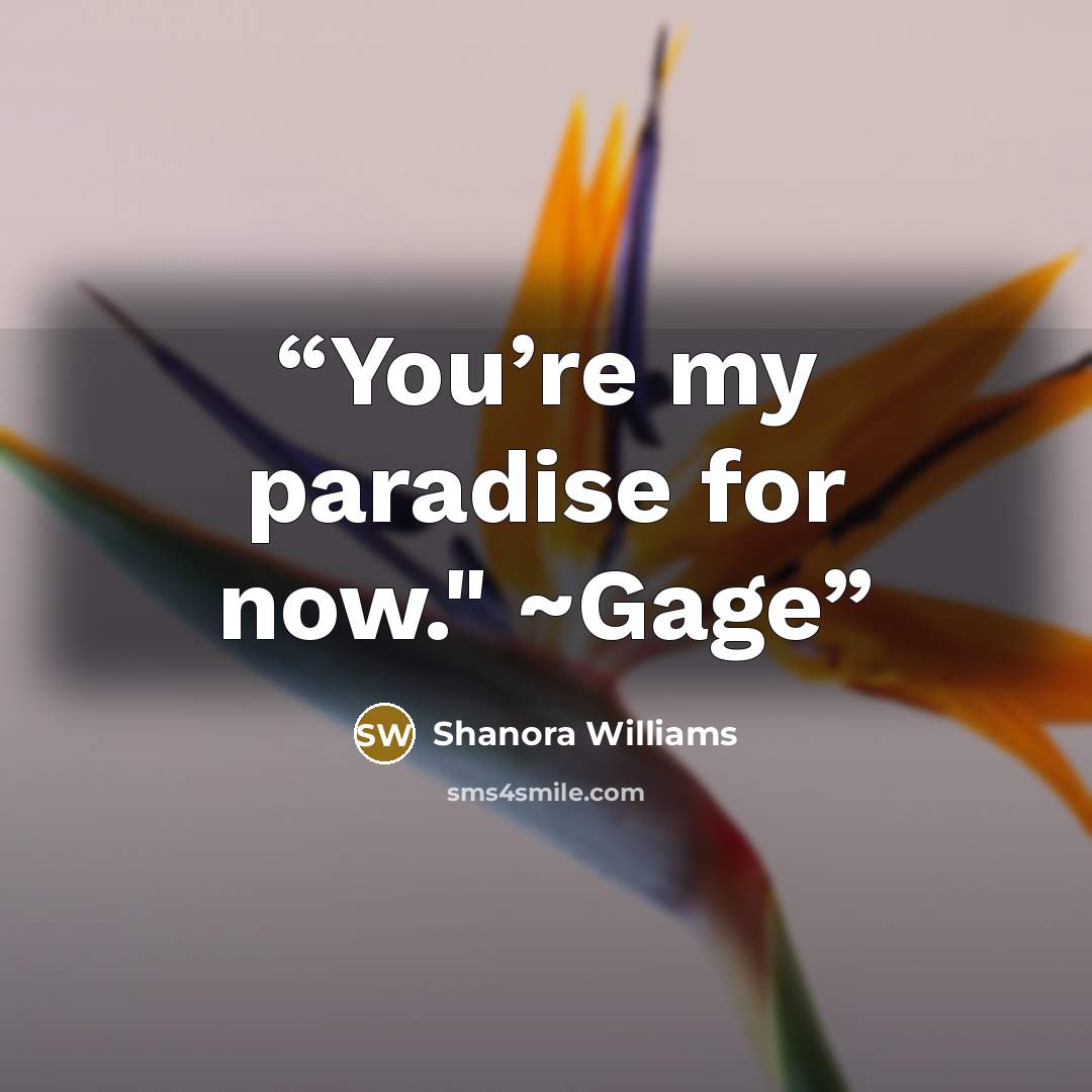 “You’re my paradise for now." ~Gage” quote by Shanora Williams