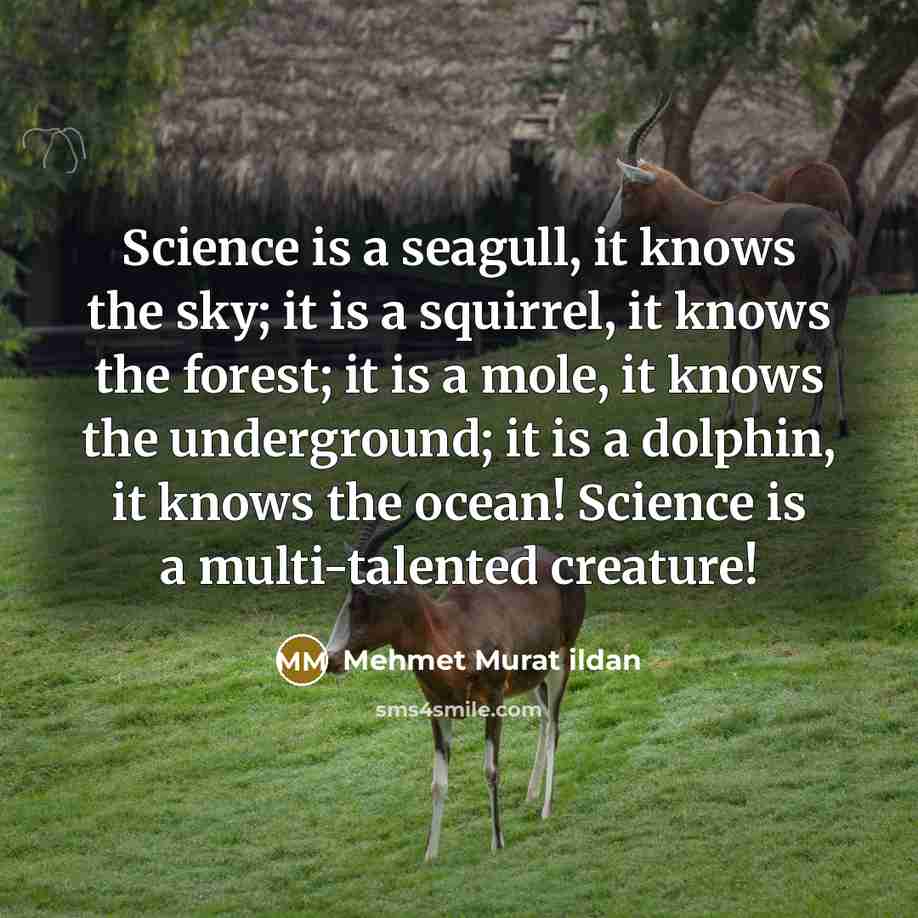 “Science is a seagull, it knows the sky; it is a squirrel, it knows the forest; it is a mole, it knows the underground; it is a dolphin, it knows the ocean! Science is a multi-talented creature!” quote by Mehmet Murat Ildan