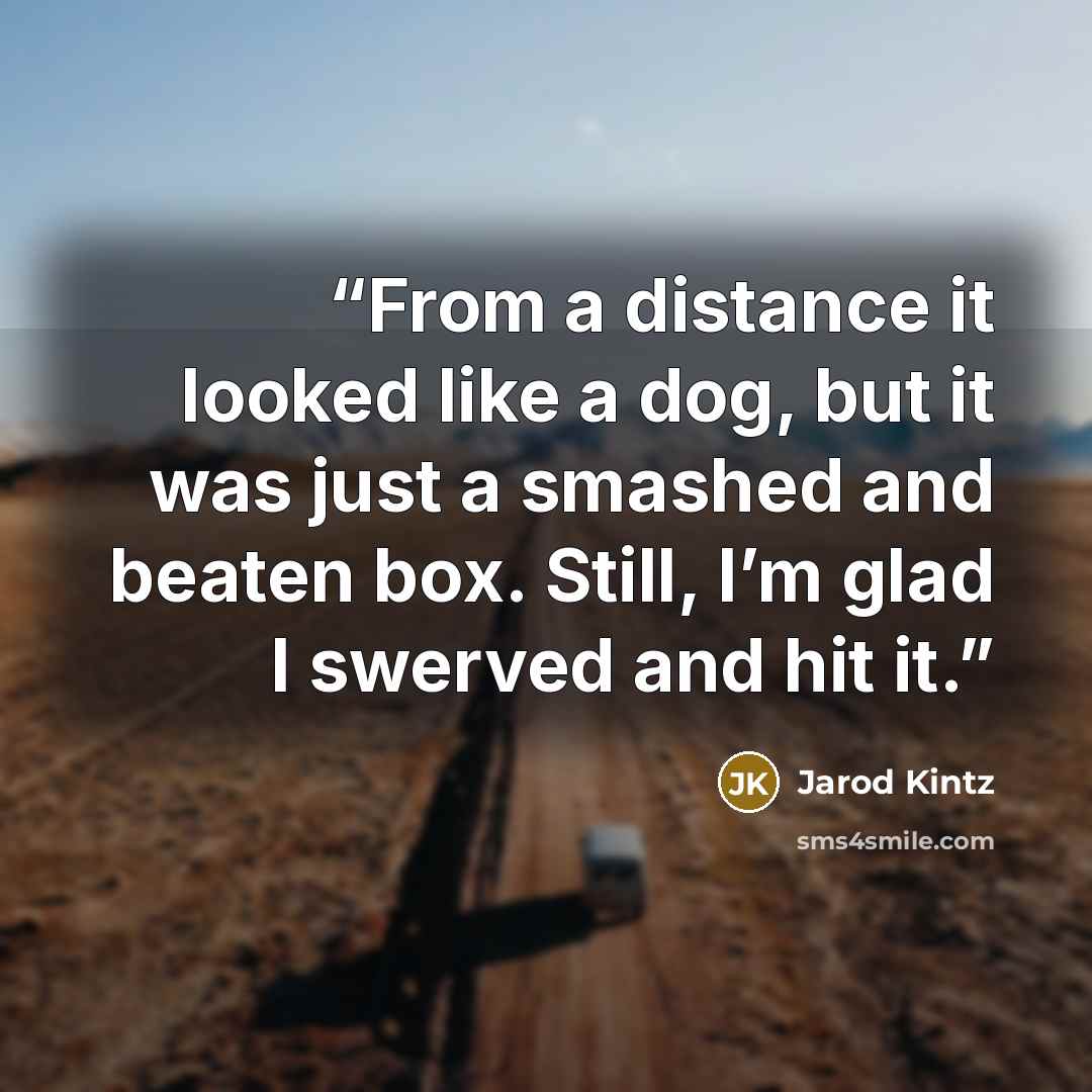 “From a distance it looked like a dog, but it was just a smashed and beaten box. Still, I’m glad I swerved and hit it.” quote by Jarod Kintz