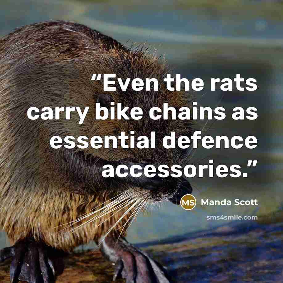 “Even the rats carry bike chains as essential defence accessories.” quote by Manda Scott