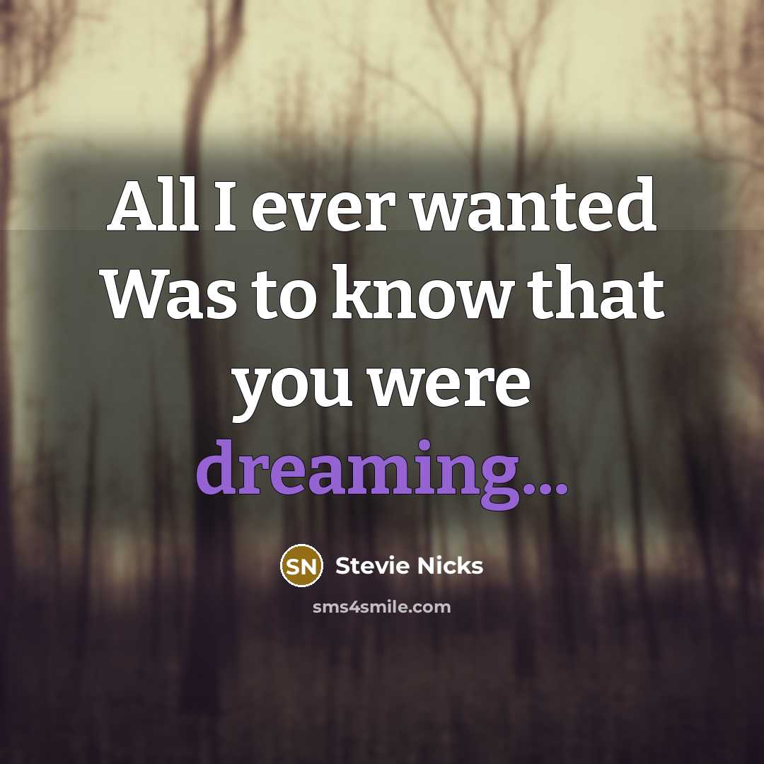 “All I ever wanted Was to know that you were dreaming...” quote by Stevie Nicks