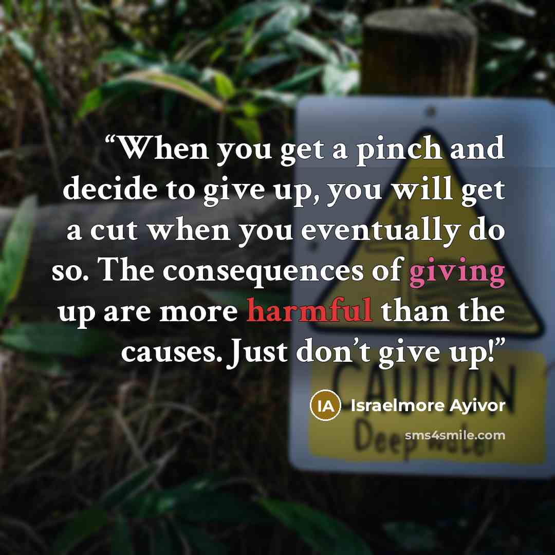 “When you get a pinch and decide to give up, you will get a cut when you eventually do so. The consequences of giving up are more harmful than the causes. Just don’t give up!” quote by Israelmore Ayivor