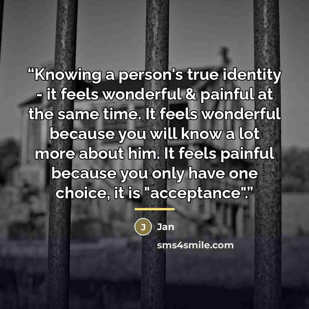 “Knowing a person's true identity - it feels wonderful & painful at the same time. It feels wonderful because you will know a lot more about him. It feels painful because you only have one choice, it is "acceptance".” quote by Jan