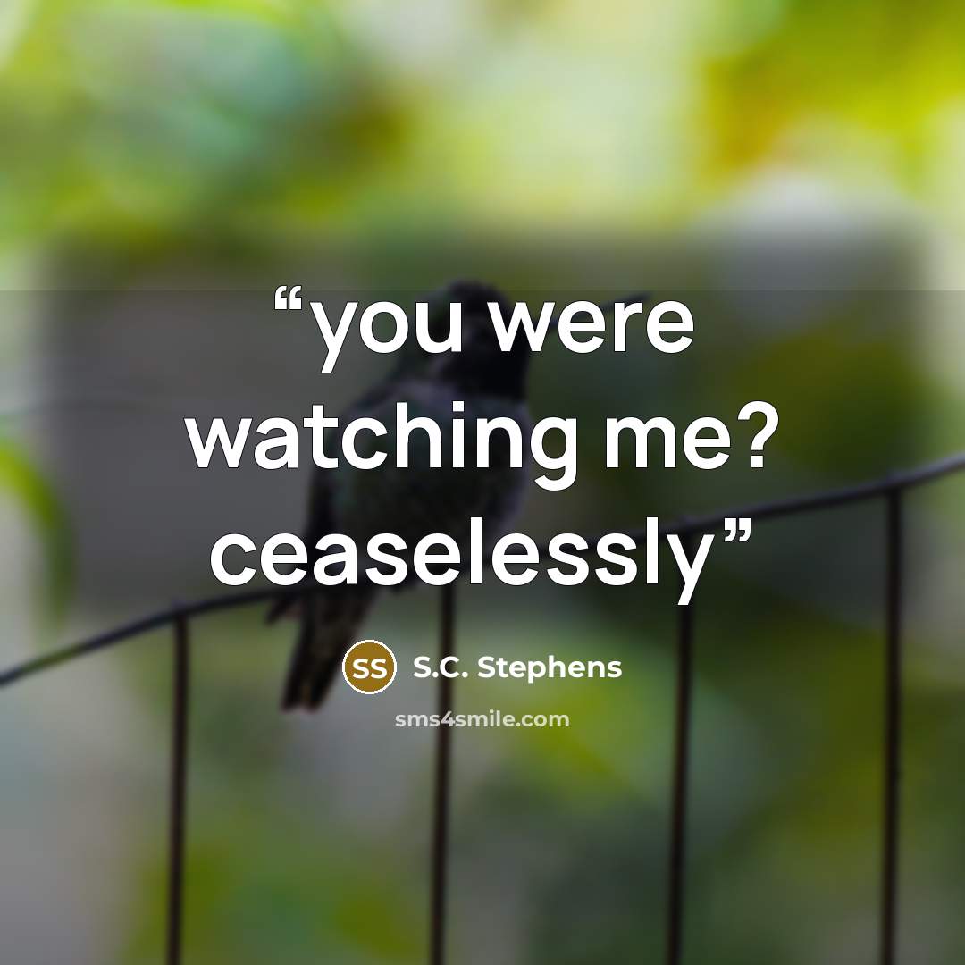 “you were watching me? ceaselessly” quote by S.C. Stephens