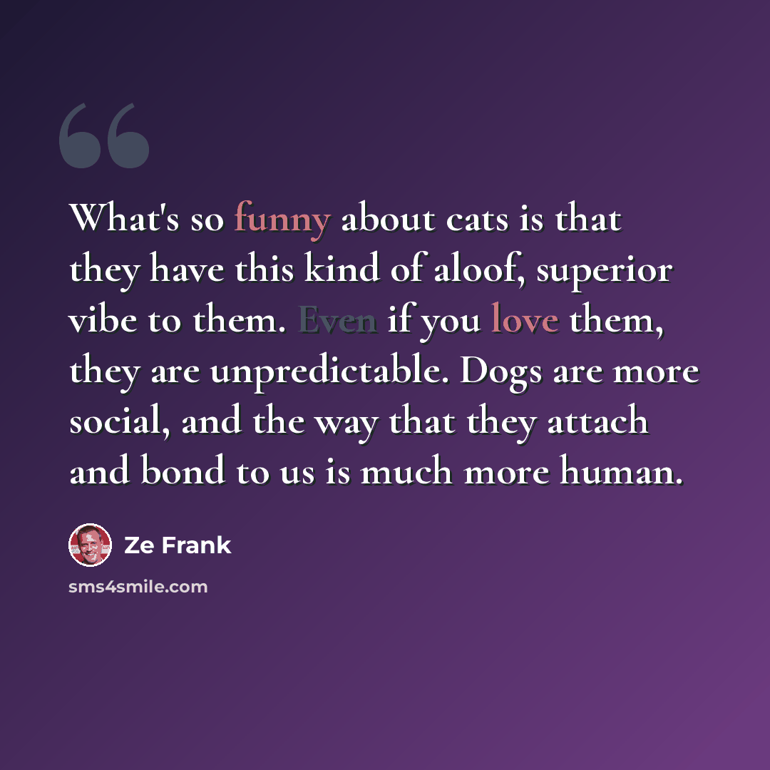 “What's so funny about cats is that they have this kind of aloof, superior vibe to them. Even if you love them, they are unpredictable. Dogs are more social, and the way that they attach and bond to us is much more human.” quote by Ze Frank