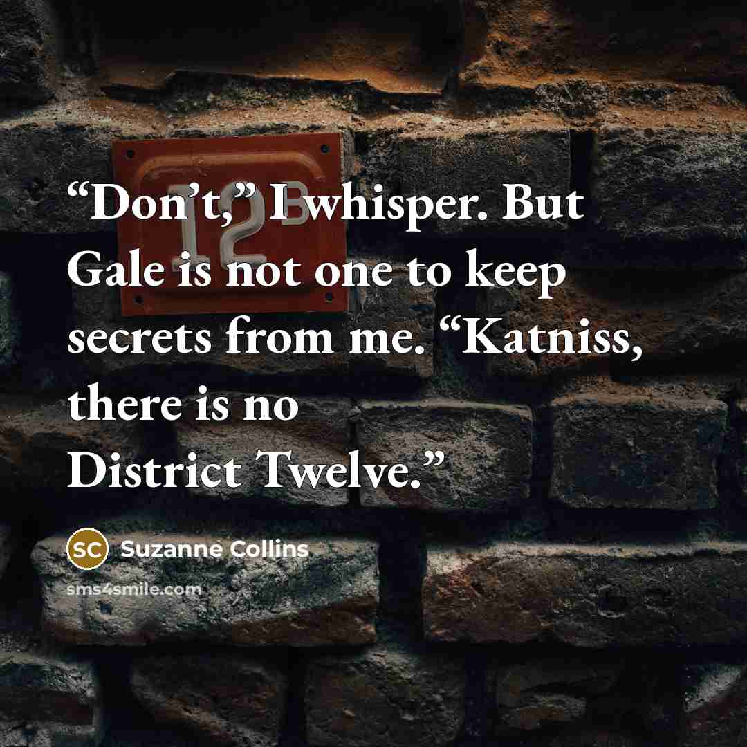 “Don’t,” I whisper. But Gale is not one to keep secrets from me. “Katniss, there is no District Twelve.” quote by Suzanne Collins