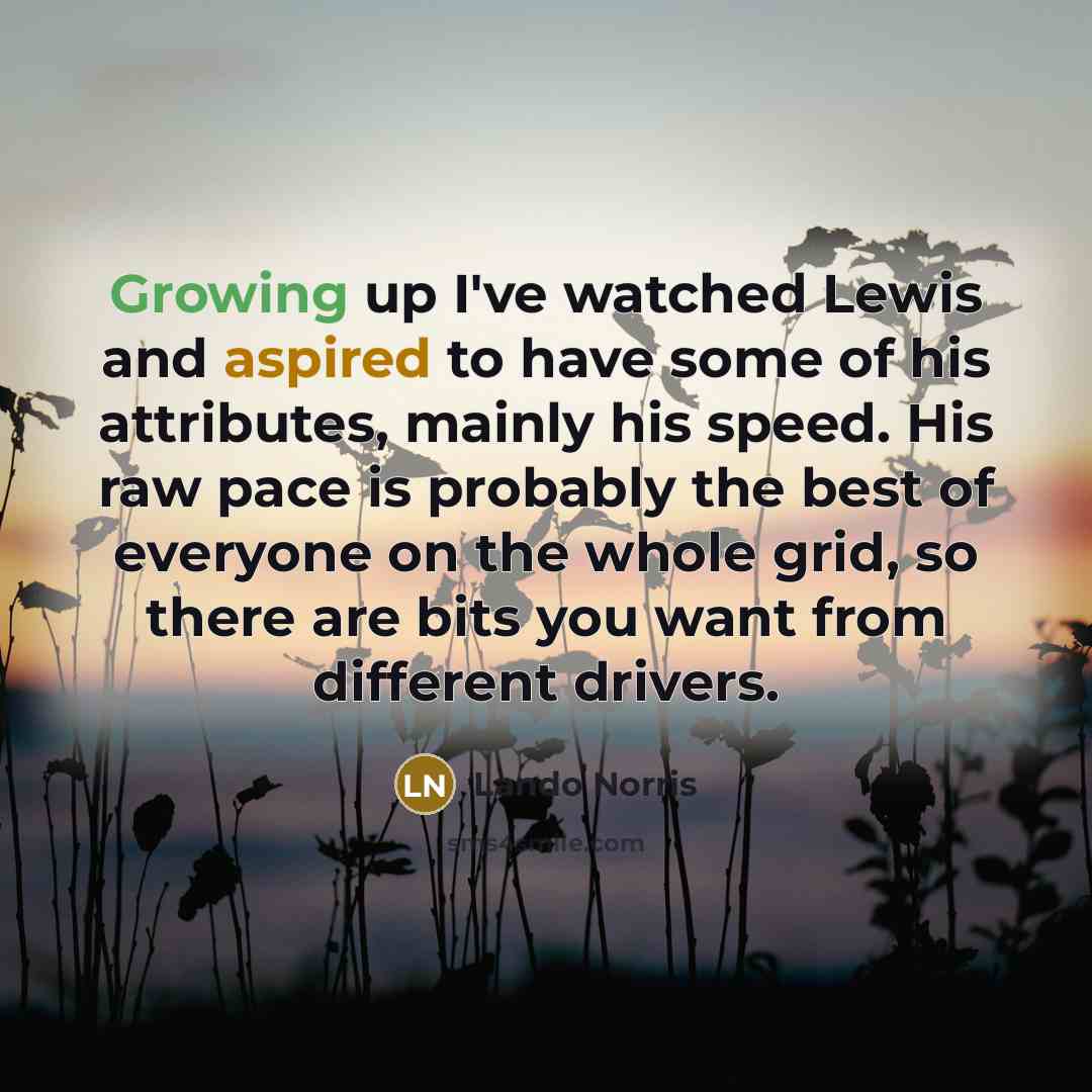 “Growing up I've watched Lewis and aspired to have some of his attributes, mainly his speed. His raw pace is probably the best of everyone on the whole grid, so there are bits you want from different drivers.” quote by Lando Norris