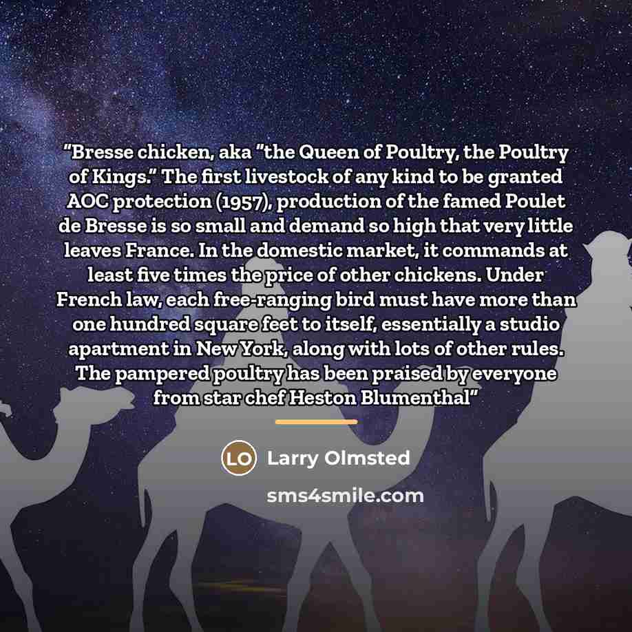 “Bresse chicken, aka “the Queen of Poultry, the Poultry of Kings.” The first livestock of any kind to be granted AOC protection (1957), production of the famed Poulet de Bresse is so small and demand so high that very little leaves France. In the domestic market, it commands at least five times the…” quote by Larry Olmsted