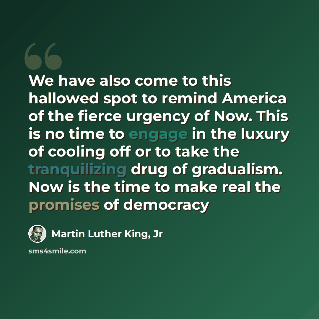 “We have also come to this hallowed spot to remind America of the fierce urgency of Now. This is no time to engage in the luxury of cooling off or to take the tranquilizing drug of gradualism. Now is the time to make real the promises of democracy” quote by Martin Luther King, Jr