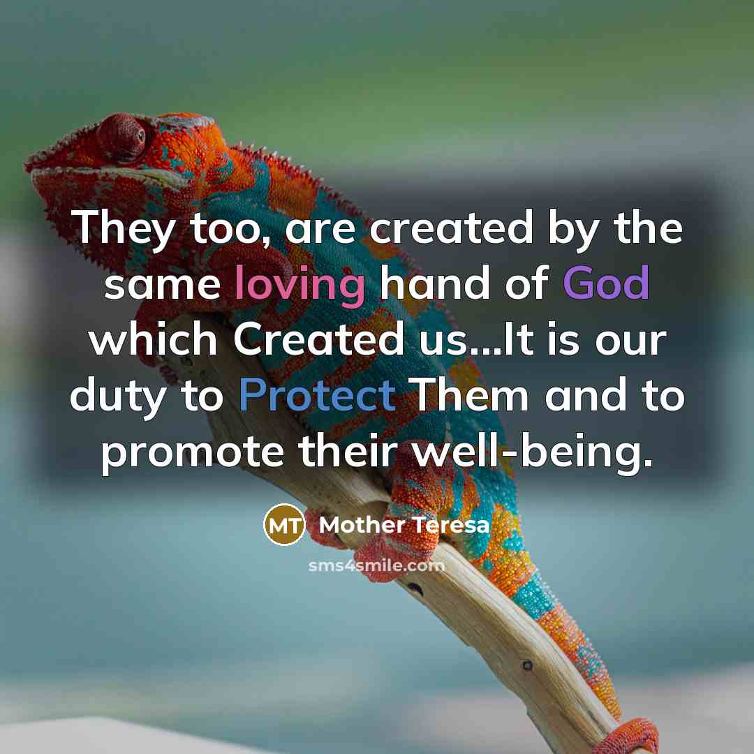 “They too, are created by the same loving hand of God which Created us...It is our duty to Protect Them and to promote their well-being.” quote by Mother Teresa