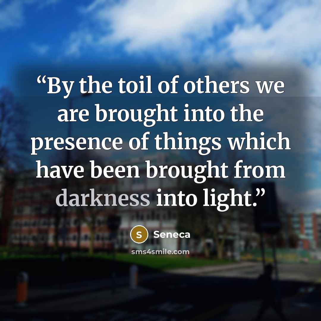 “By the toil of others we are brought into the presence of things which have been brought from darkness into light.” quote by Seneca