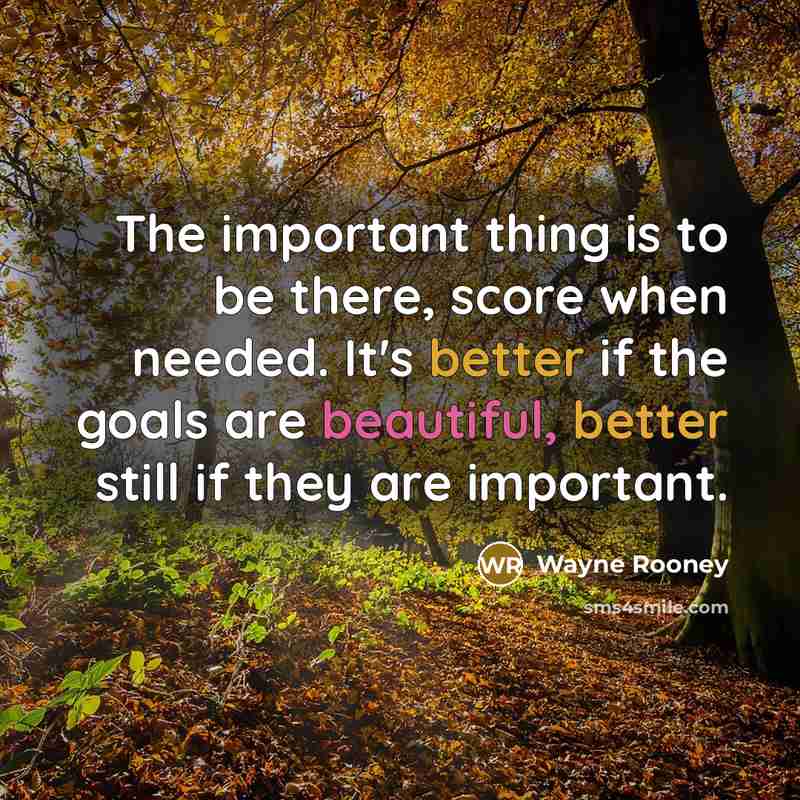 “The important thing is to be there, score when needed. It's better if the goals are beautiful, better still if they are important.” quote by Wayne Rooney