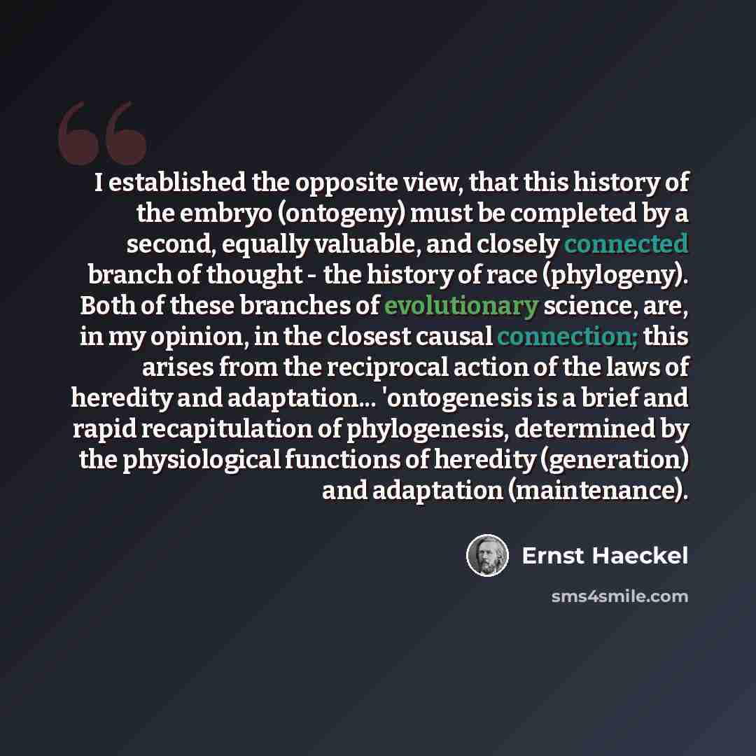 “I established the opposite view, that this history of the embryo (ontogeny) must be completed by a second, equally valuable, and closely connected branch of thought - the history of race (phylogeny). Both of these branches of evolutionary science, are, in my opinion, in the closest causal…” quote by Ernst Haeckel