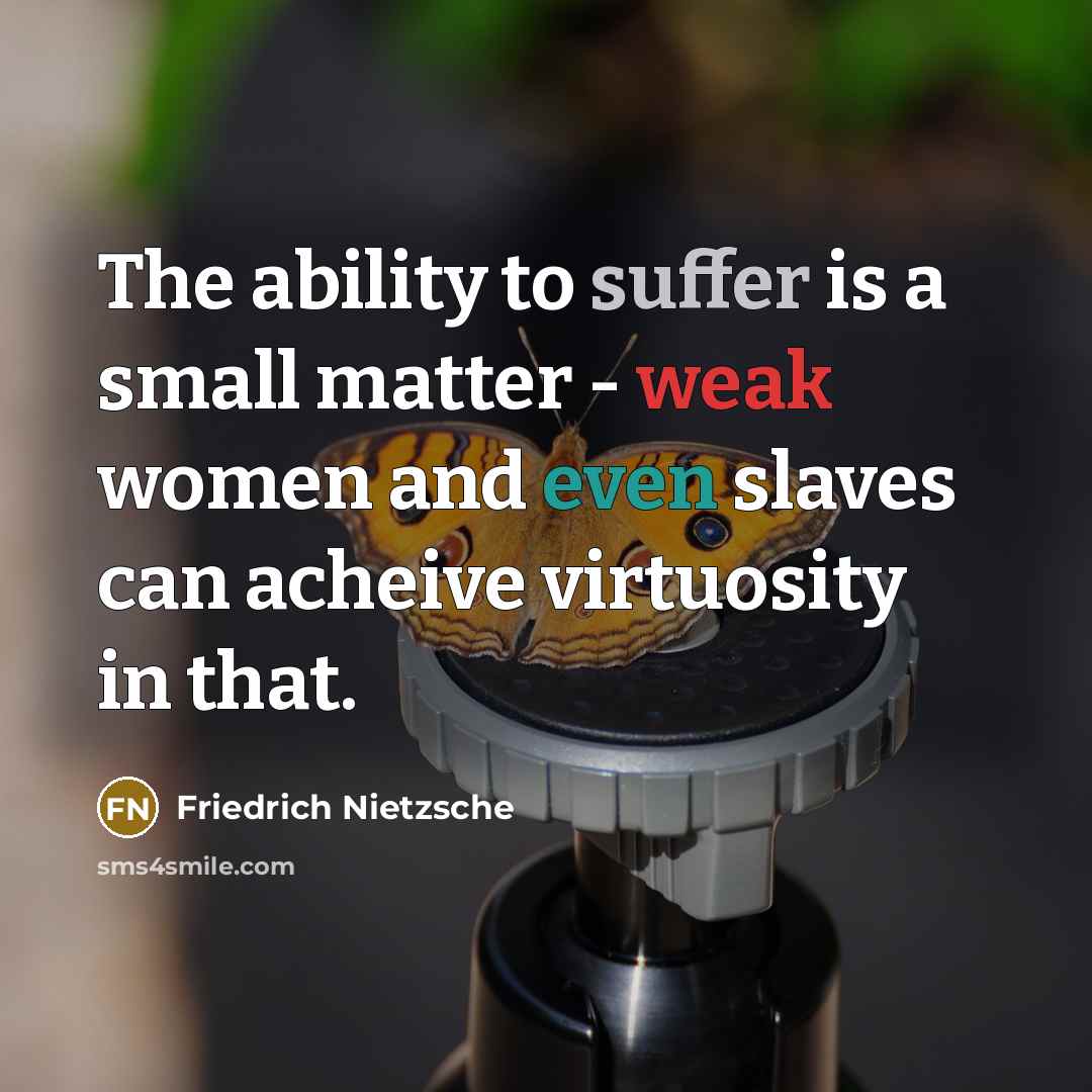 “The ability to suffer is a small matter - weak women and even slaves can acheive virtuosity in that.” quote by Friedrich Nietzsche