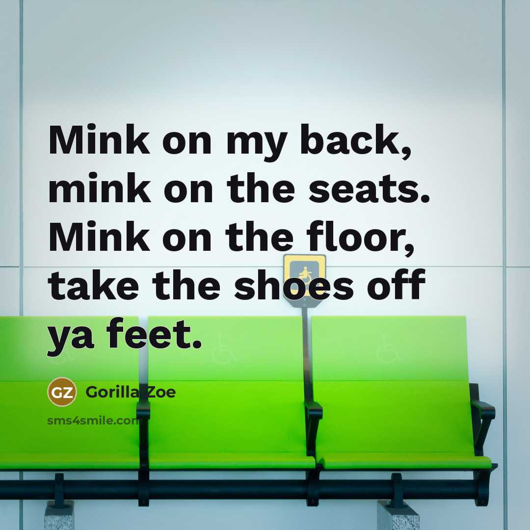 “Mink on my back, mink on the seats. Mink on the floor, take the shoes off ya feet.” quote by Gorilla Zoe