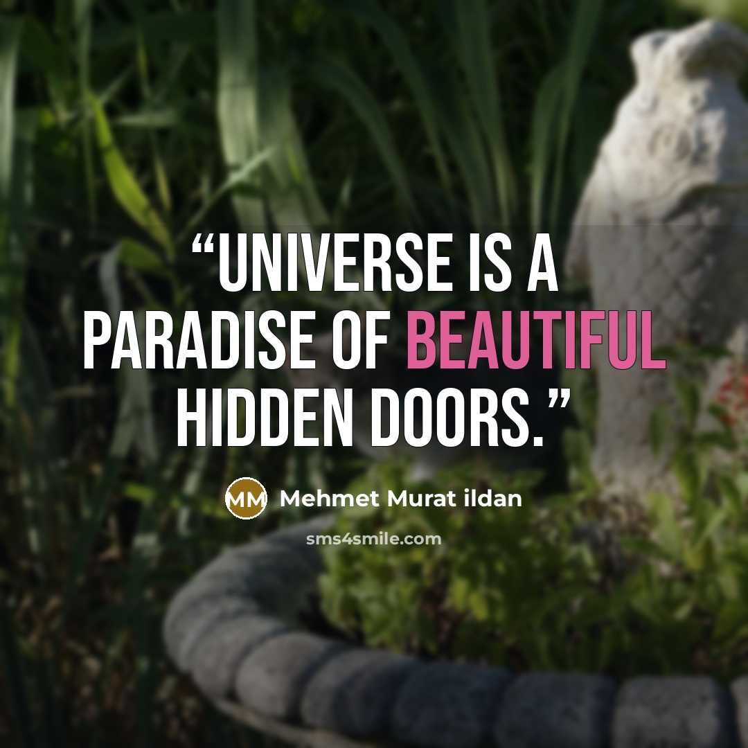 “Universe is a paradise of beautiful hidden doors.” quote by Mehmet Murat ildan
