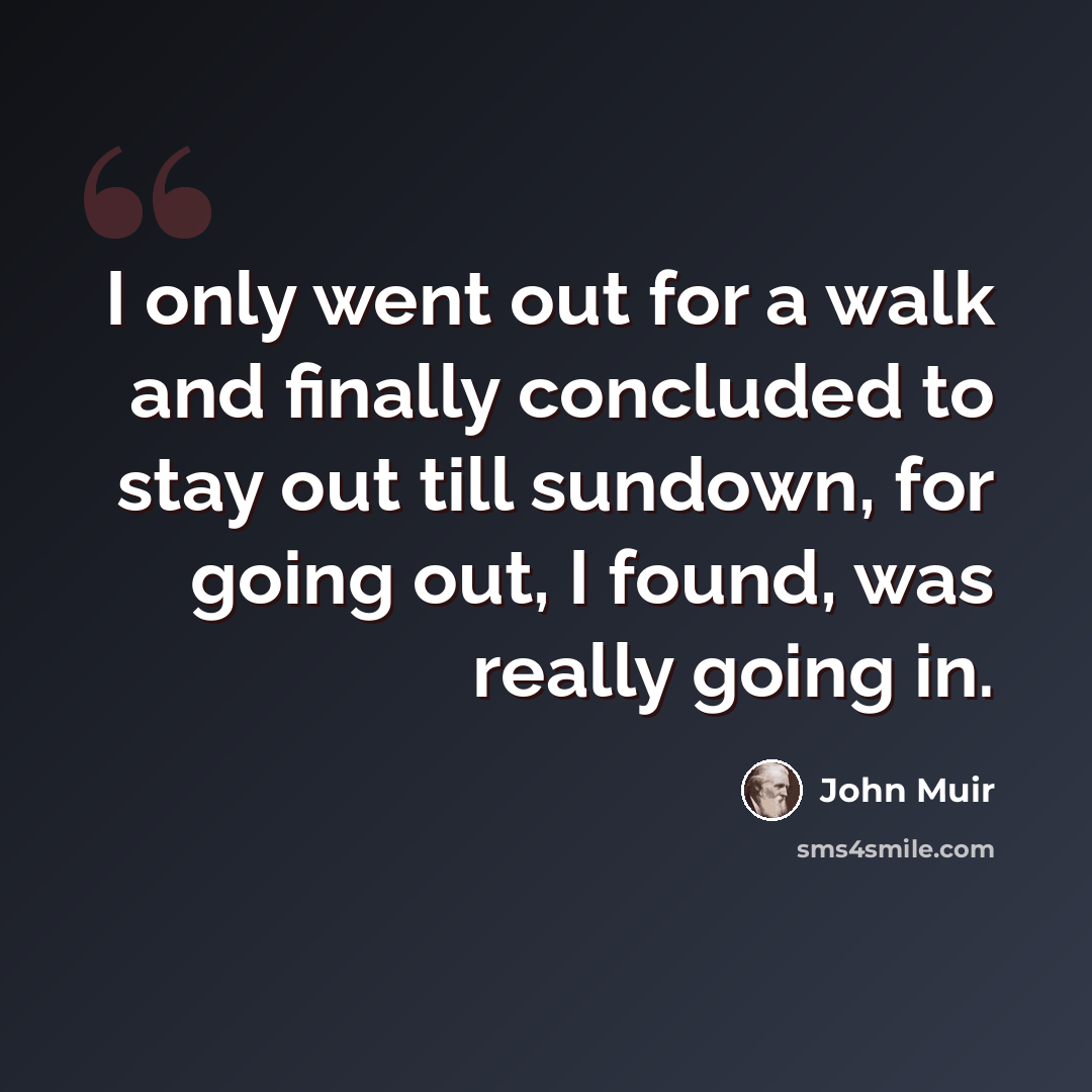 “I only went out for a walk and finally concluded to stay out till sundown, for going out, I found, was really going in.” quote by John Muir