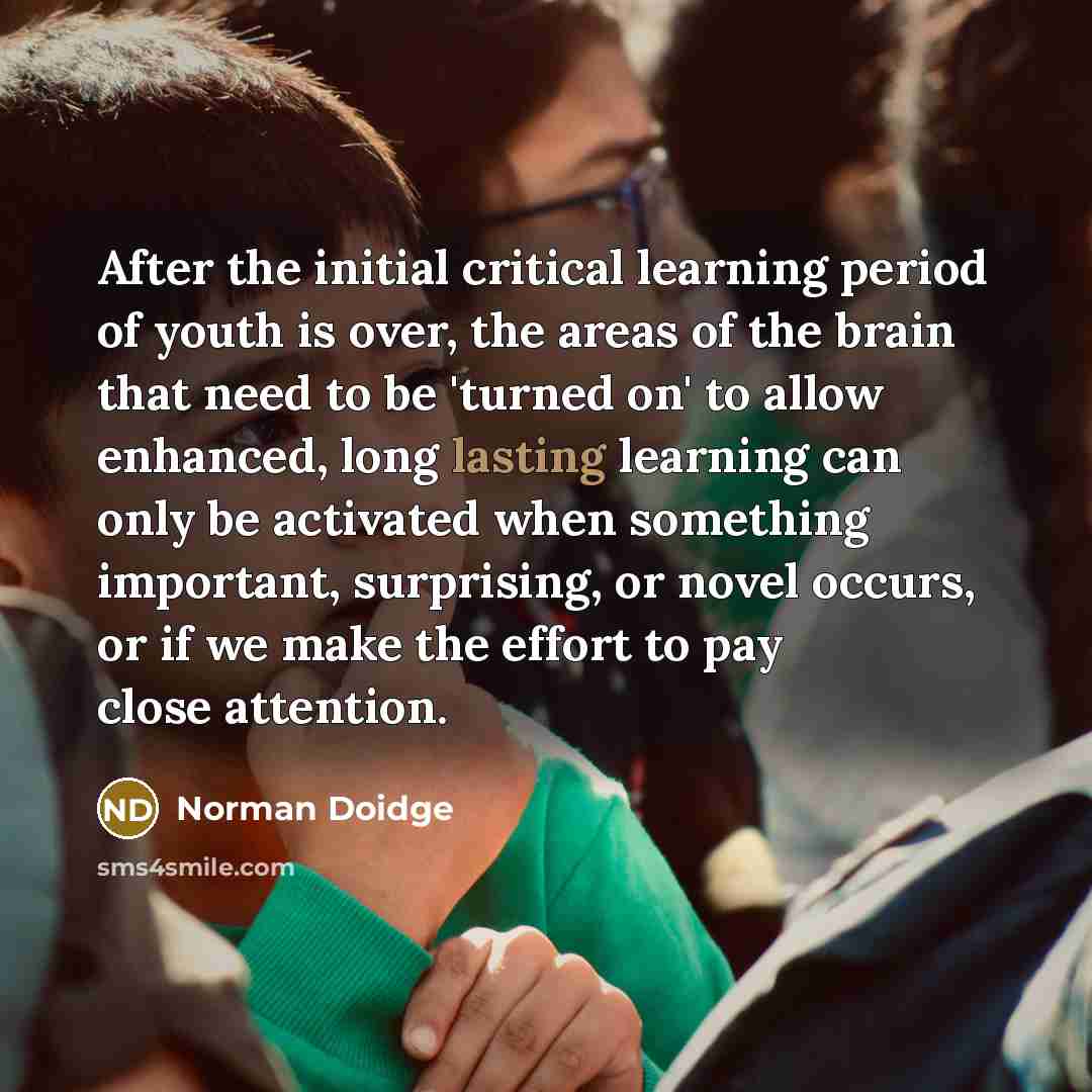 “After the initial critical learning period of youth is over, the areas of the brain that need to be 'turned on' to allow enhanced, long lasting learning can only be activated when something important, surprising, or novel occurs, or if we make the effort to pay close attention.” quote by Norman Doidge