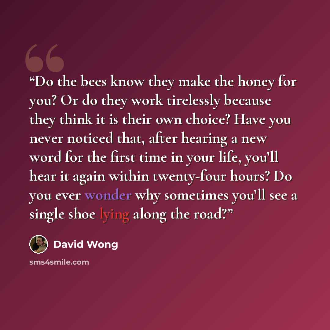 “Do the bees know they make the honey for you? Or do they work tirelessly because they think it is their own choice? Have you never noticed that, after hearing a new word for the first time in your life, you’ll hear it again within twenty-four hours? Do you ever wonder why sometimes you’ll see a…” quote by David Wong