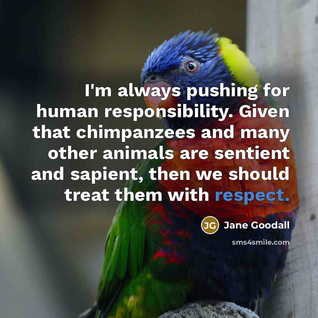 “I'm always pushing for human responsibility. Given that chimpanzees and many other animals are sentient and sapient, then we should treat them with respect.” quote by Jane Goodall