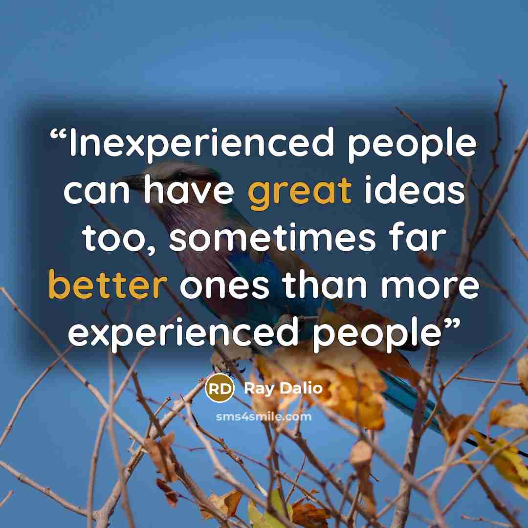 “Inexperienced people can have great ideas too, sometimes far better ones than more experienced people” quote by Ray Dalio